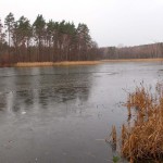 Plzeň – Slavnost slunovratu. Foto: Jiří Kuřina.