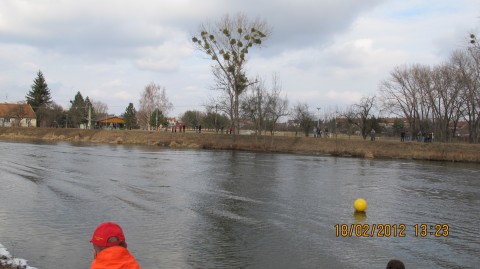 Břeclavský bobr 2012