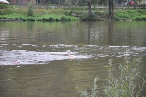 Trojboj u Vltavy