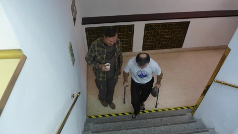 Memoriál Alfreda Nikodéma 2013