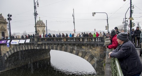 Memoriál Alfreda Nikodéma 2014