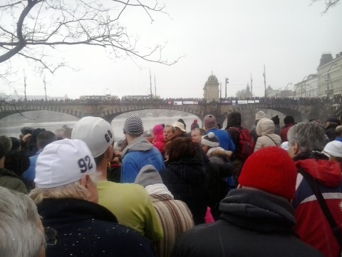 Memoriál Alfreda Nikodéma 2014