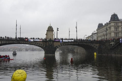 Memoriál Alfreda Nikodéma 2014