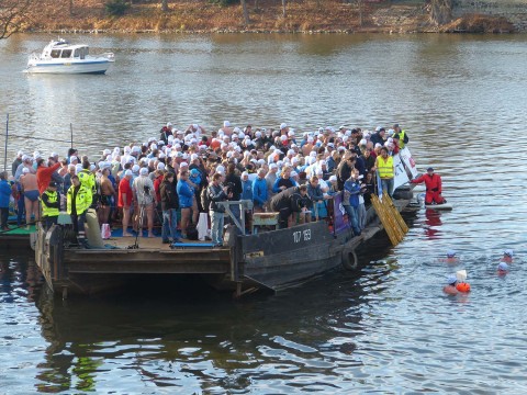Memoriál Alfreda Nikodéma 2015