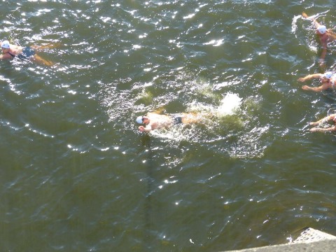 Memoriál Alfreda Nikodéma 2015