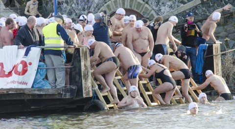 Memoriál Alfreda Nikodéma 2015