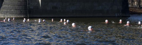 Memoriál Alfreda Nikodéma 2015