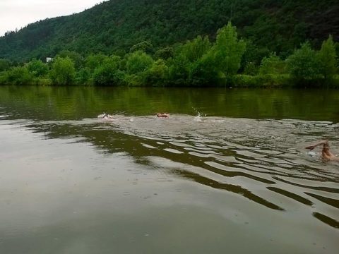 Jarní kontrolní závod a táborák