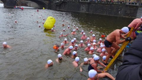 Memoriál Alfreda Nikodéma 2016
