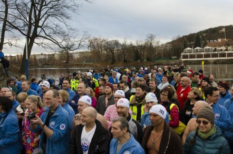 Memoriál Alfreda Nikodéma 2016