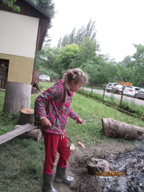 Otužilci v létě nezahálejí – červnový „trojboj“ (brigáda, kontrolní závod a táborák)