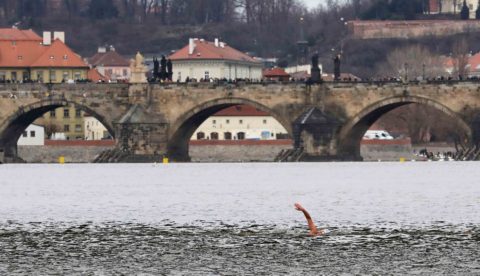 72. Memoriál Alfreda Nikodéma 2018