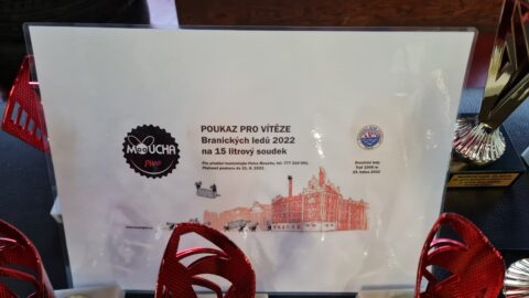 19. ročník Branických ledů – 10. ročník Memoriálu Ladislava Nicka
