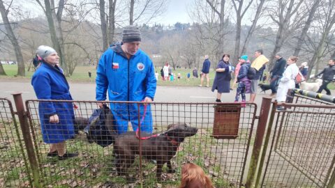 Tradiční křest otužilců ve Vltavě 2023