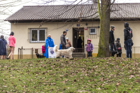 Tradiční křest otužilců ve Vltavě 2023